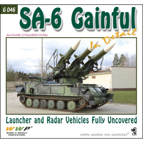 SA-6 Gainful in Detail