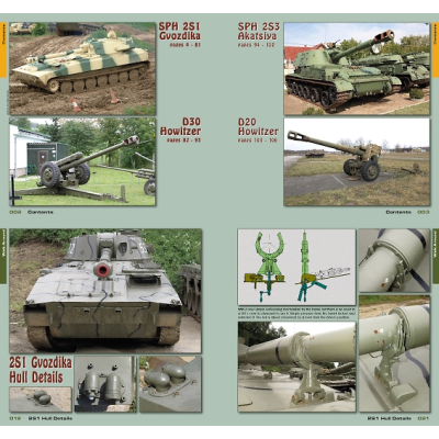 Gvozdika & Akatsiya in detail