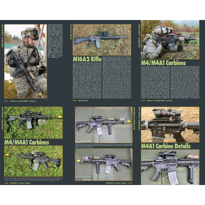 M4 Carbine & M16 Rifle