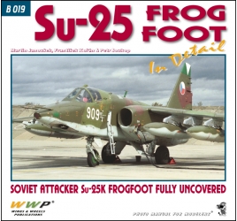 Su-25 Frogfoot in detail