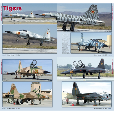 TOPGUN in Detail