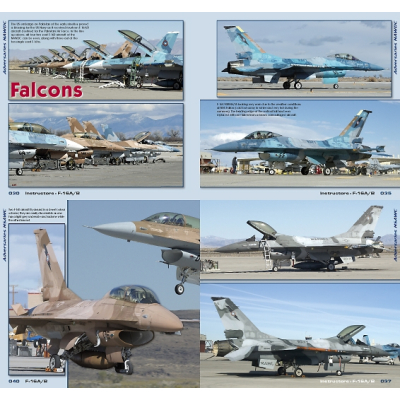 TOPGUN in Detail