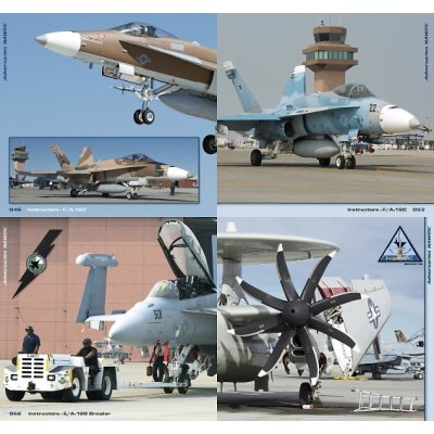 TOPGUN in Detail