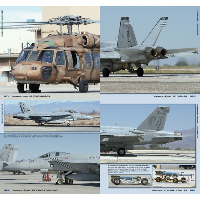 TOPGUN in Detail