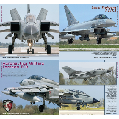 NATO Air Force Exercise in Detail