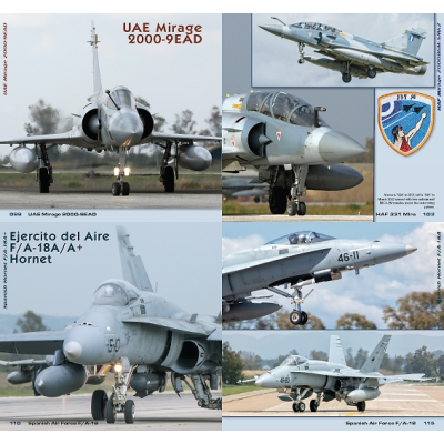 NATO Air Force Exercise in Detail